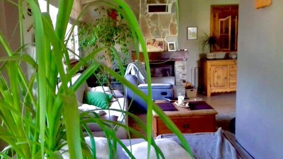Maison Du Bonheur ボルゴ エクステリア 写真